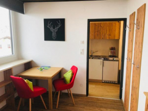 Apartment Hugo, Maria Alm Am Steinernen Meer, Österreich